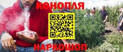 соль ск Камышлов