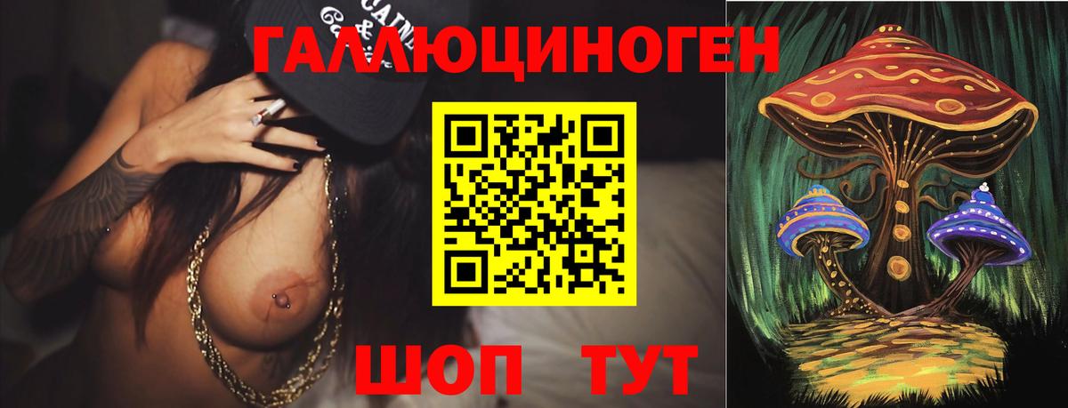Всеволожск  Галлюциногенные грибы Psilocybine cubensis  Вход с VPN 